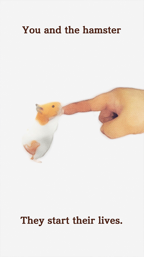 我的倉鼠游戲截圖2