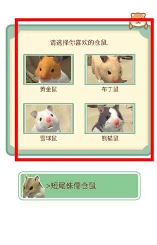 我的倉鼠游戲