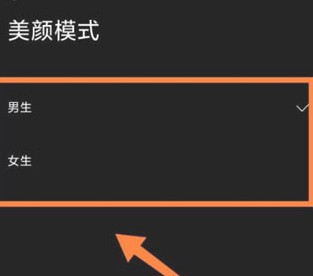 型影相機(jī)