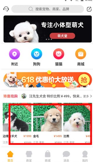寵物市場app
