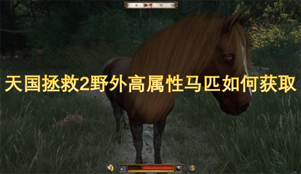 天國(guó)拯救2野外高屬性馬匹如何獲取