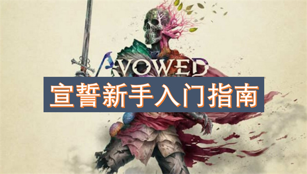 宣誓新手入門(mén)指南