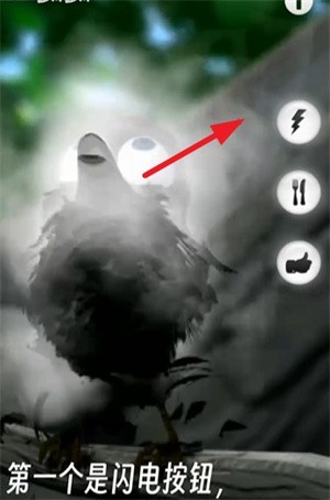 會(huì)說(shuō)話的拉里鳥(niǎo)