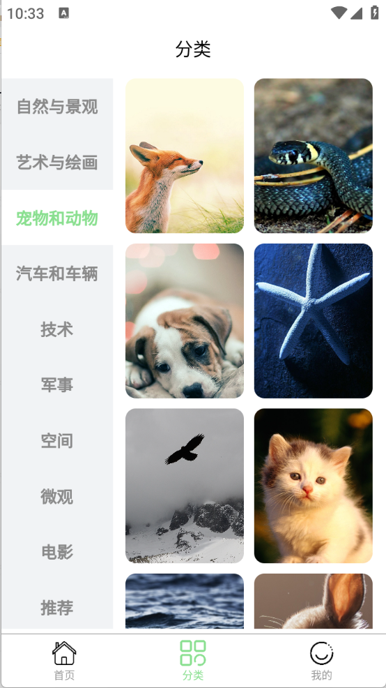 每日淘壁紙截圖1