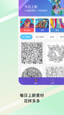 數字填色paint