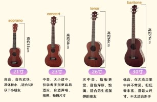 調(diào)音器