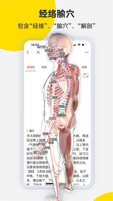 3DBody解剖学截图3: