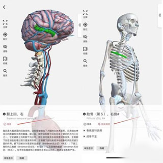 3DBody解剖學(xué)