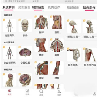 3DBody解剖學(xué)