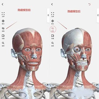 3DBody解剖學(xué)
