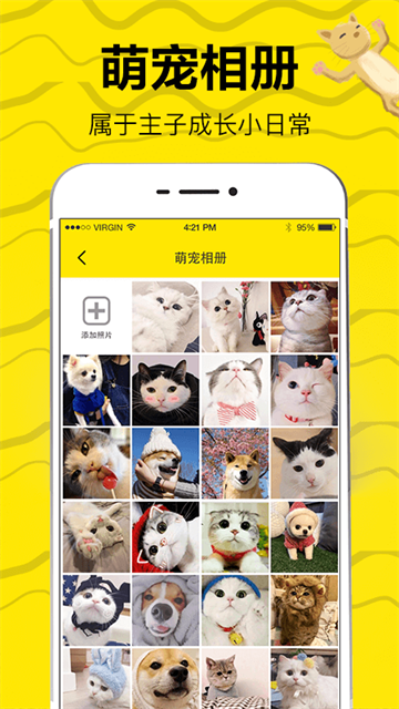貓語交流翻譯器app截圖4