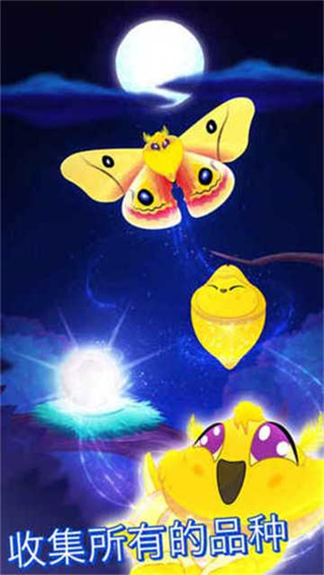 彩翼之星夜截圖2
