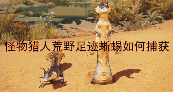 怪物獵人荒野足跡蜥蜴如何捕獲