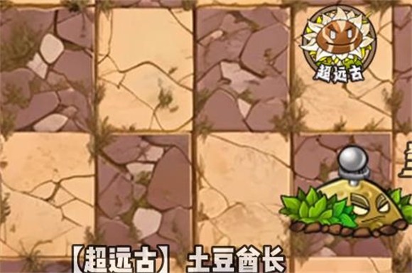 植物大戰(zhàn)僵尸神奇植物版