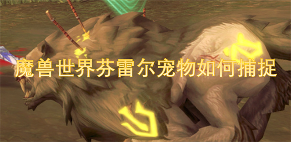 魔獸世界芬雷爾寵物如何捕捉