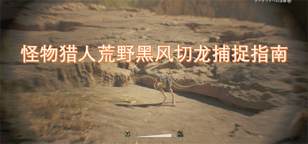 怪物獵人荒野黑風(fēng)切龍捕捉指南