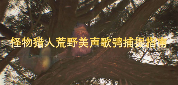 怪物獵人荒野美聲歌鸮捕捉指南