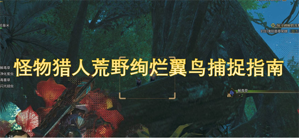 怪物獵人荒野絢爛翼鳥捕捉指南