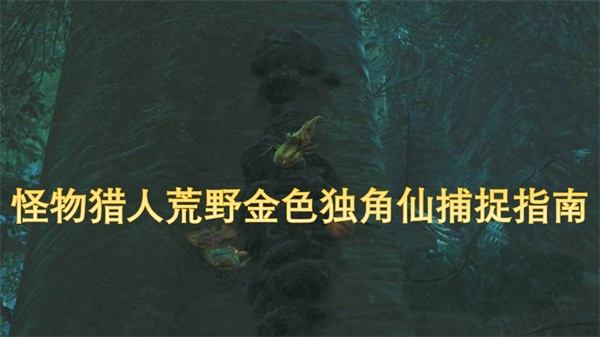 怪物獵人荒野金色獨角仙捕捉指南