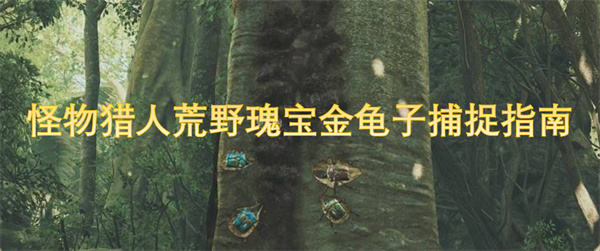 怪物獵人荒野瑰寶金龜子捕捉指南