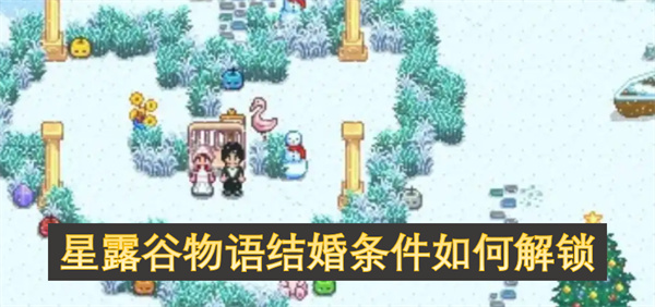 星露谷物語(yǔ)結(jié)婚條件如何解鎖