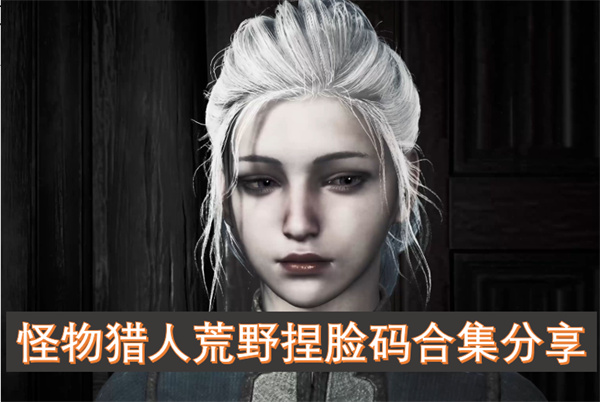 怪物獵人荒野捏臉碼合集分享