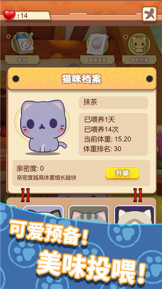 養(yǎng)只大肥貓截圖1