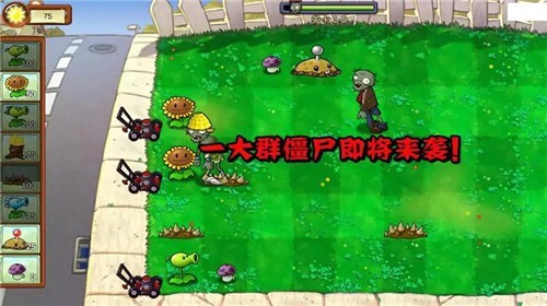 植物大戰(zhàn)僵尸重生版截圖4