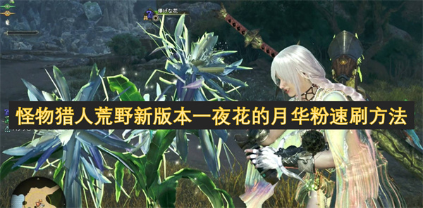 怪物獵人荒野新版本一夜花的月華粉速刷方法