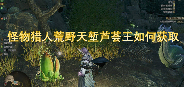 怪物獵人荒野天塹蘆薈王如何獲取