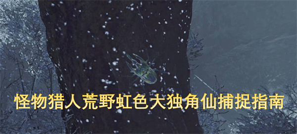 怪物獵人荒野虹色大獨(dú)角仙捕捉指南