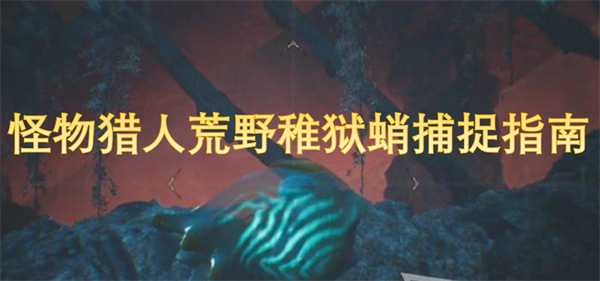 怪物獵人荒野稚獄蛸捕捉指南