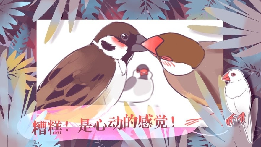 咕啾文鳥戀愛物語(yǔ)截圖2