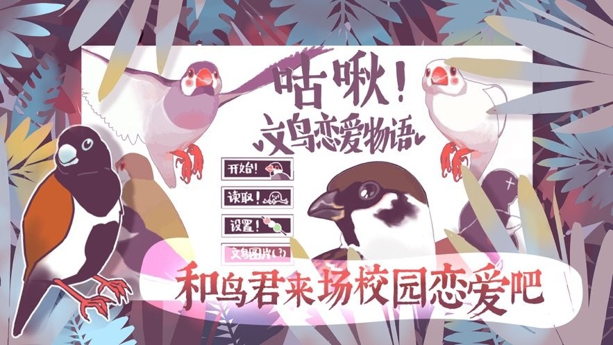 咕啾文鳥戀愛物語(yǔ)截圖3