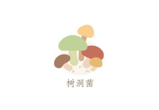 樹洞菌app