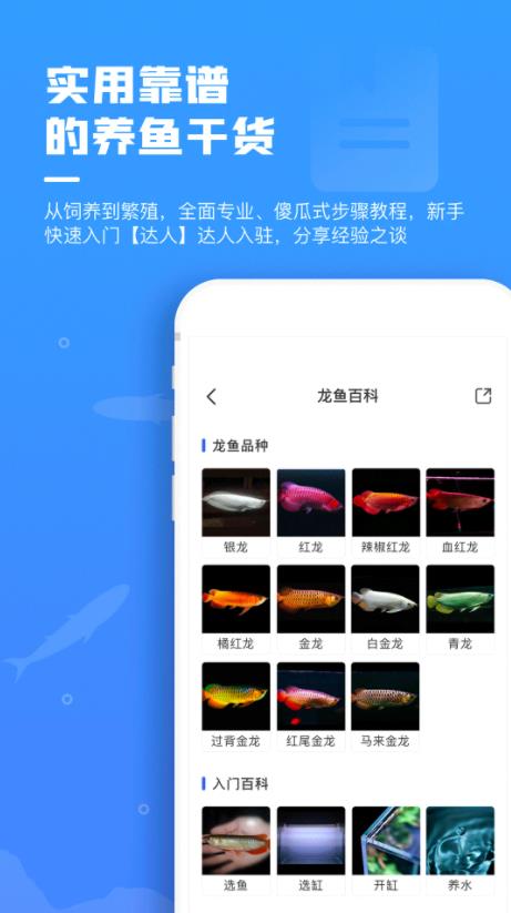 鲲天下截图3:
