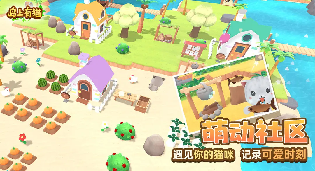 島上有貓截圖3