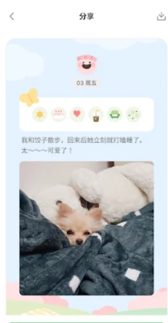 天天豆