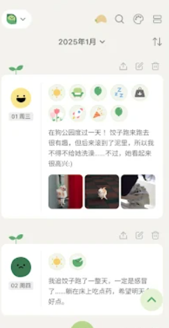 天天豆