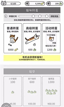 貓咪真的很可愛