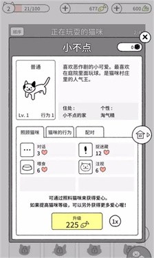 貓咪真的很可愛