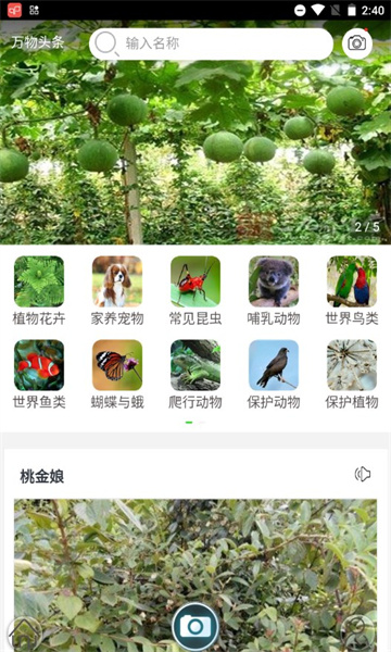 萬(wàn)物識(shí)別掃一掃截圖2