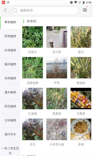 萬(wàn)物識(shí)別掃一掃截圖3