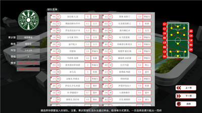 職業(yè)足球生涯