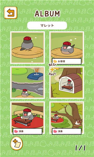 鳥(niǎo)之音截圖3