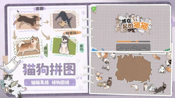 擠在一起的貓貓截圖1