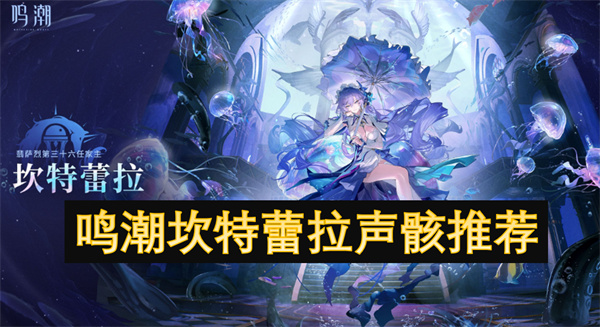 鸣潮坎特蕾拉声骸推荐