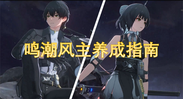 鸣潮风主养成指南