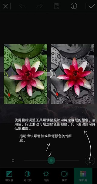 相片大師高級(jí)版app下載