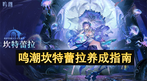 鸣潮坎特蕾拉养成指南